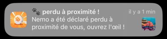 Notification example